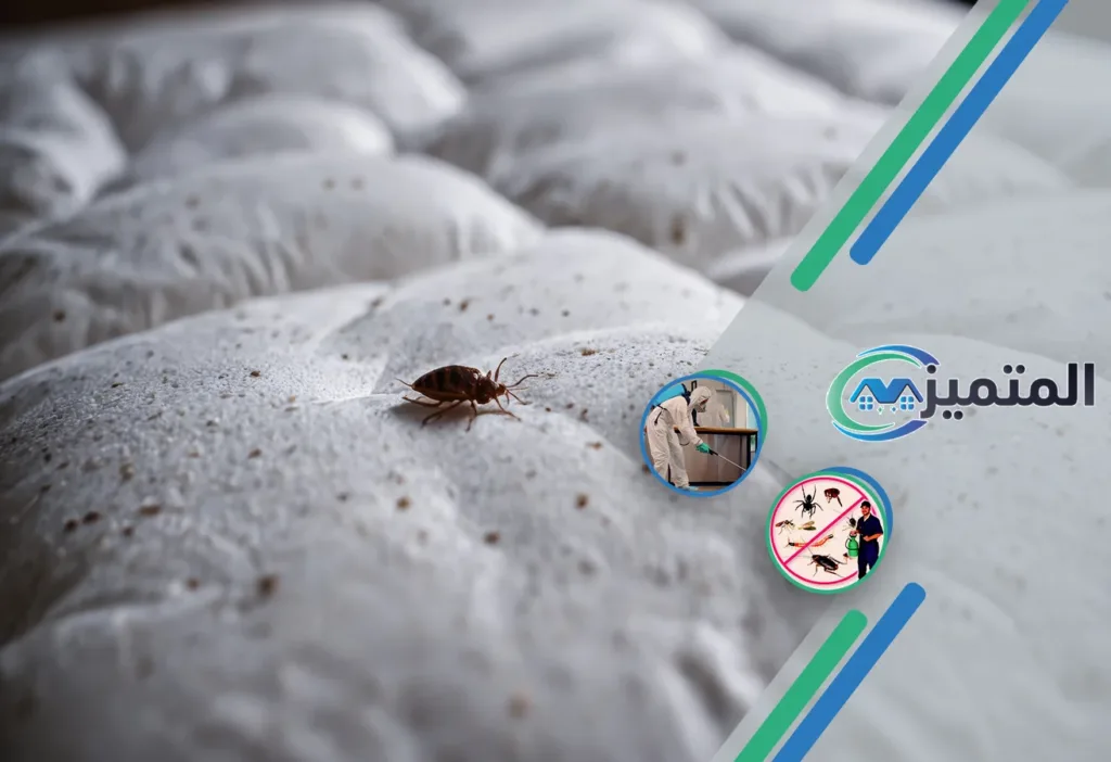 أفضل شركات مكافحة بق الفراش بحفر الباطن | مكافحة البق | رش البق بحفر الباطن | ابادة البق بحفر الباطن | البق، العث، بق الفراش، حشرة الفراش، عثة الفراش