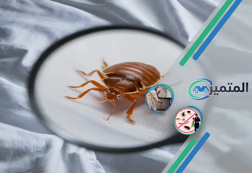 مكافحة بق الفراش بالقيصومة | 0539177195 | ضمان الإبادة النهائية 4 أرخص شركات مكافحة بق الفراش بالقيصومة | مكافحة البق | رش البق بالقيصومة | ابادة البق بالقيصومة | البق، العث، بق الفراش، حشرة الفراش، عثة الفراش